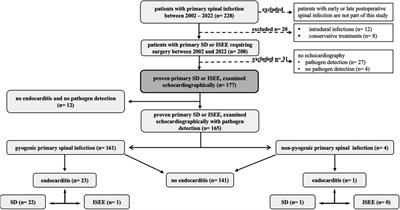 The impact of concomitant infective endocarditis in patients with spondylodiscitis and isolated spinal epidural empyema and the diagnostic accuracy of the modified duke criteria